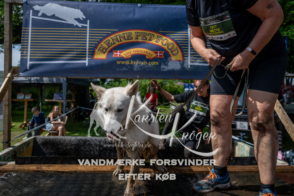 1100_ZZ92315 | kk-dogfotos