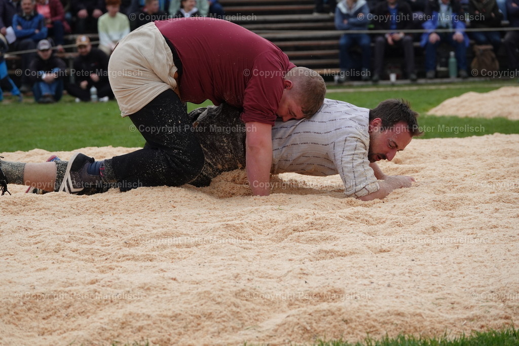 DSC03238 | Schwingen - Realisiert mit Pictrs.com