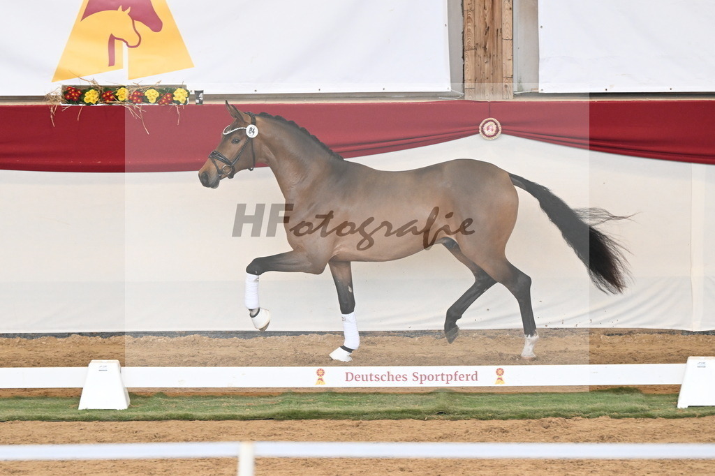 Kat.-Nr. 84 v. Velvedere_Kleinekoerdt_3261240 | hf-fotografie - Realisiert mit Pictrs.com