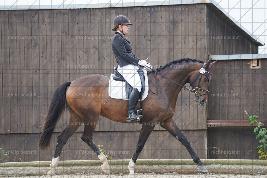 20230826-FAH04412 | Forstinning, 2023, Dressurturnier, Turniersportbilder, Turnierfotografen Bayern, Fotoagentur Herrmann, Reitsportfotografie, Turnierbilder