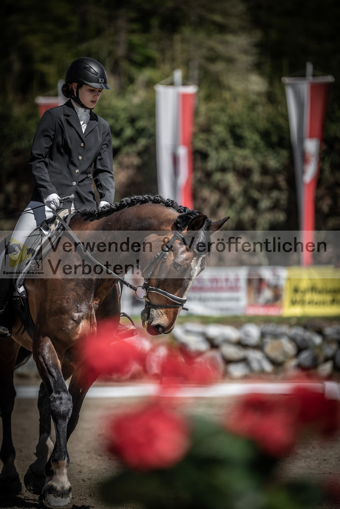 DSC_0290 | equestrian-live-com