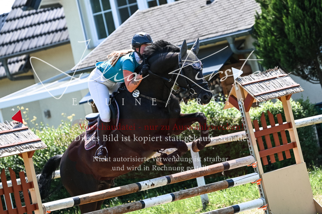 DSC_0079 | Pferde- und Turnierfotografie in Westsachsen. Pferdeportraits, Auftragszeichnungen und intuitive Kunst.