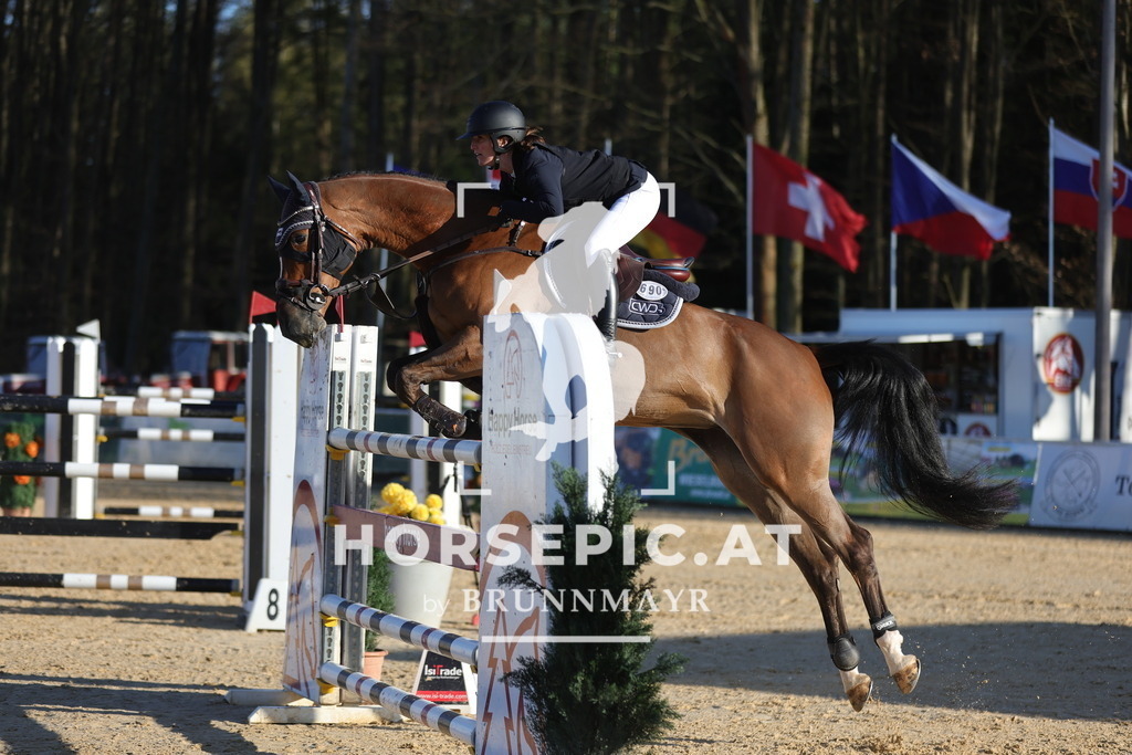 0P6A2305 | Willkommen bei Brunnmayr - Design & Fotografie – Ihrem Spezialisten für Reitturniere und Pferdeveranstaltungen in Oberösterreich, Salzburg und Bayern! Seit über 17 Jahren sind wir leidenschaftlich dabei.