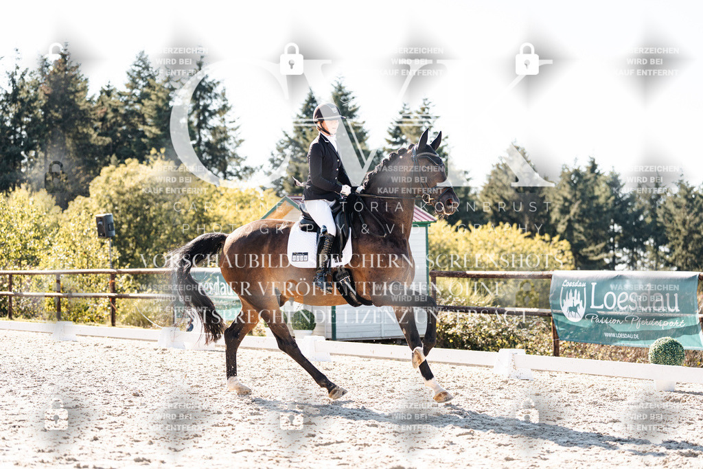 CK905967 | Turnierfotografie Pferdefotografie Trier Rheinland-Pfalz Pferdesport Reitsport Tierfotografie Sportfotografie Pferdevideo Pferdevideografie Equestrianvideography equestrianphotography  - Realisiert mit Pictrs.com