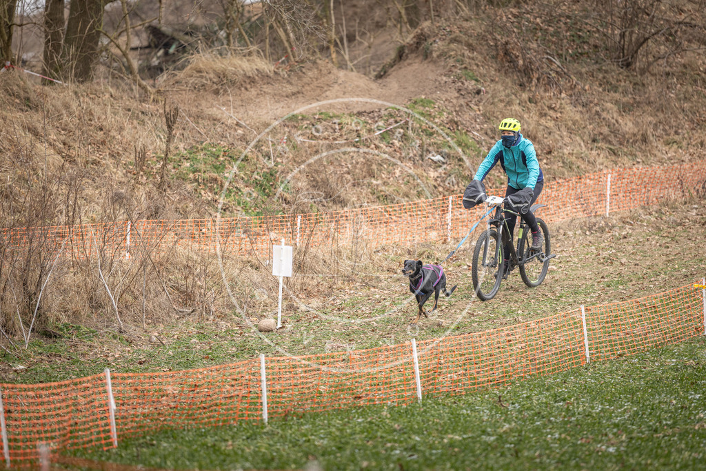 Pfotenfotografie_DV3A6967 | Hundefotografie, Tierfotograf, Pfotenfotografie, Fotoshooting Hund, Hunde Portrait, Hundesport, Hundeportraits, Heideshooting, Hunde, Sportfotograf, Hundefotograf, Turnierhundsport, THS,  - Realisiert mit Pictrs.com