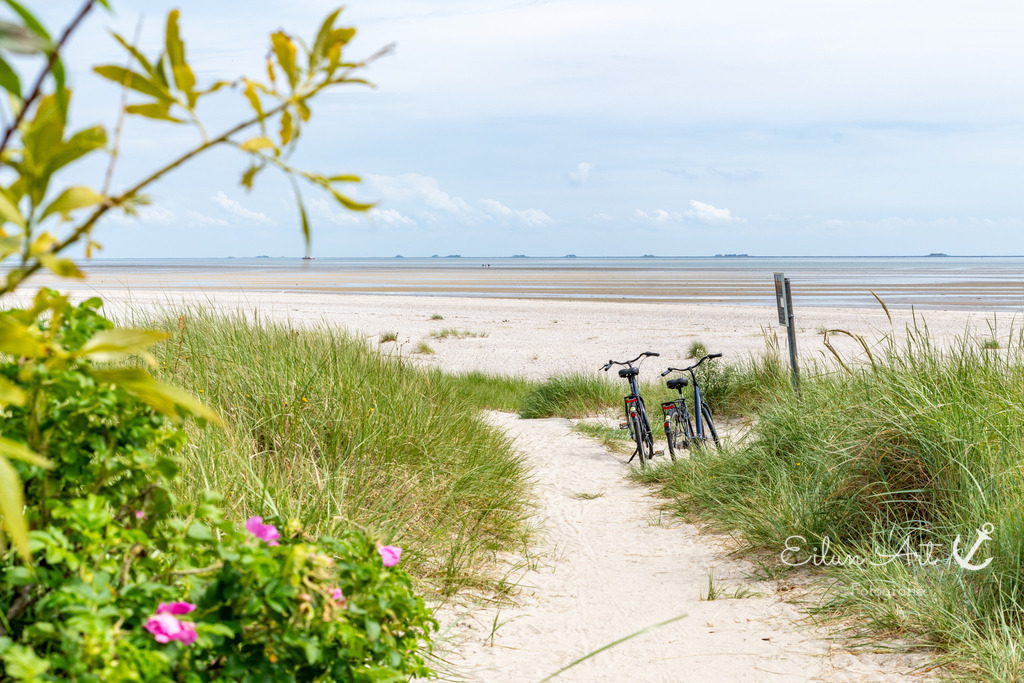 20240618-EAF_2624 | Eilun-Art-Fotografie Levke Martens, ihre Fotografin für Immobilien- und Landschaftsfotografie auf Föhr, Föhrer Motive als Poster, Leinwand, hinter Acrylglas oder stelle dir deinen eigenen Monatskalender zusammen, mit nur einem Klick