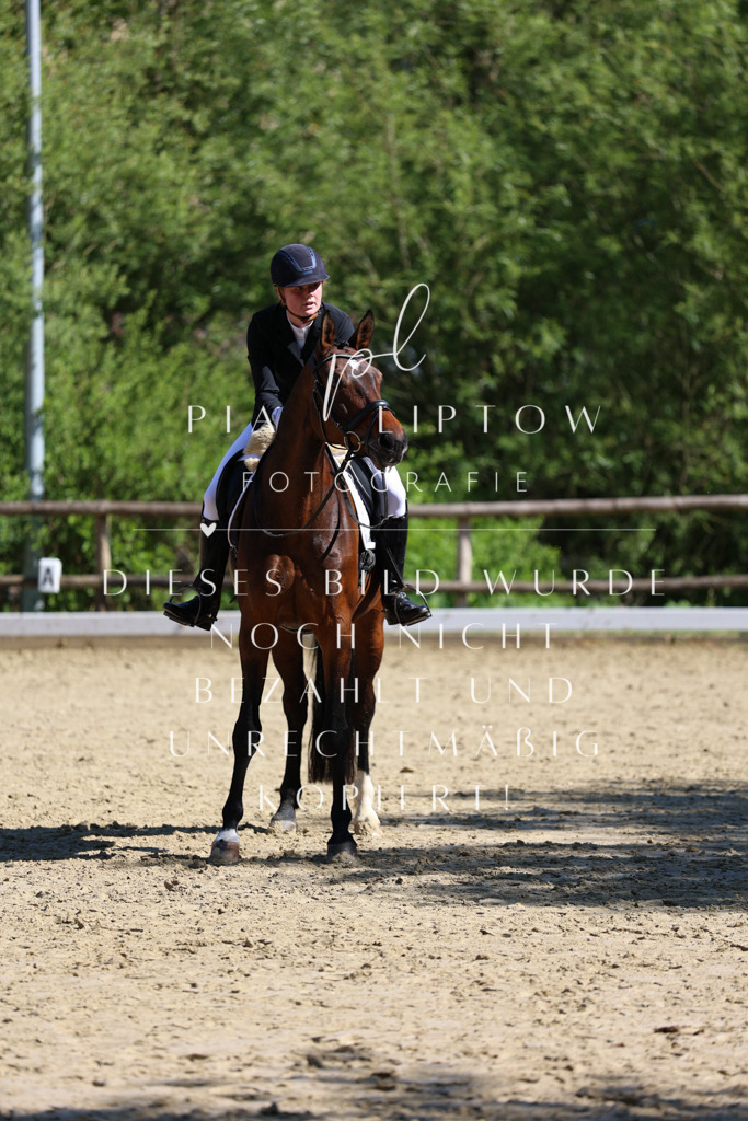 IMGT0374 | pl-fotografie