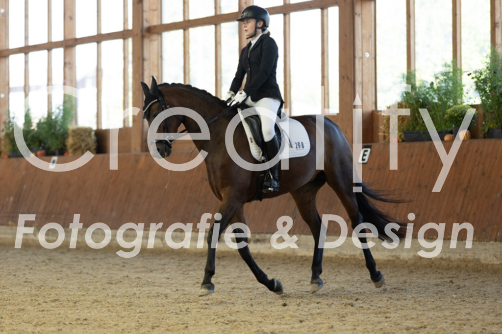 IMG_8856 | Creatify Fotografie