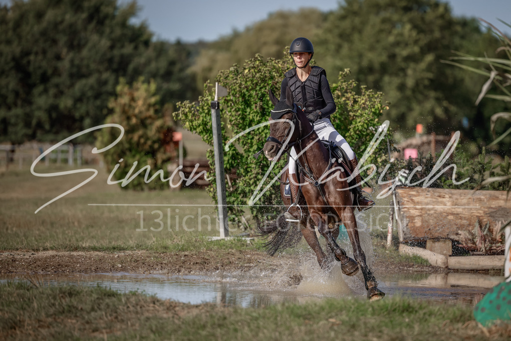 20250907-_3LI9133 | Tierfotografie Pferde, Hunde, Katzen, Haustiere.
Turnierfotografie Reitturniere, Reiten, Springreiten, Dressur in Hanau, dem Main-Kinzig-Kreis und dem Rhein-Main- Gebiet um Frankfurt