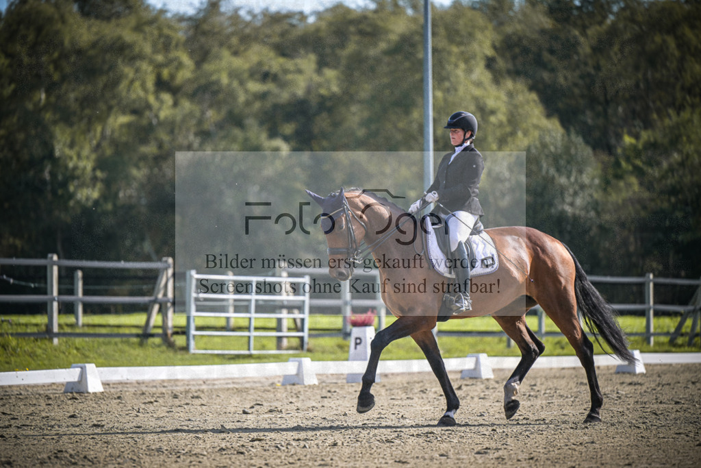 DOS_1396 | Entdecke hochwertige Reitturnierfotos von Foto Oger. Professionell, emotional und authentisch – jetzt Lieblingsmomente im Shop bestellen.Deutschlandweite Turnierfotografie. - Realisiert mit Pictrs.com