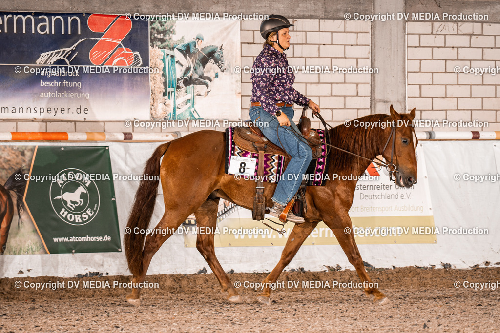 ZH100292 | dv-media-shop - Realisiert mit Pictrs.com