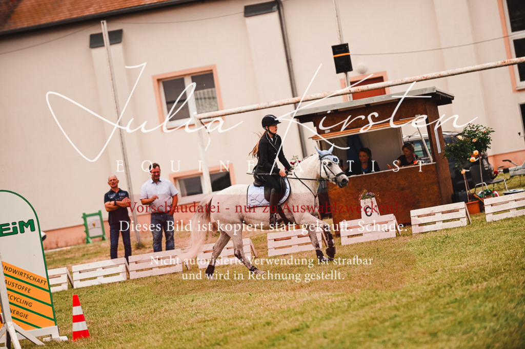 DSC_6985 | Pferde- und Turnierfotografie in Westsachsen. Pferdeportraits, Auftragszeichnungen und intuitive Kunst.