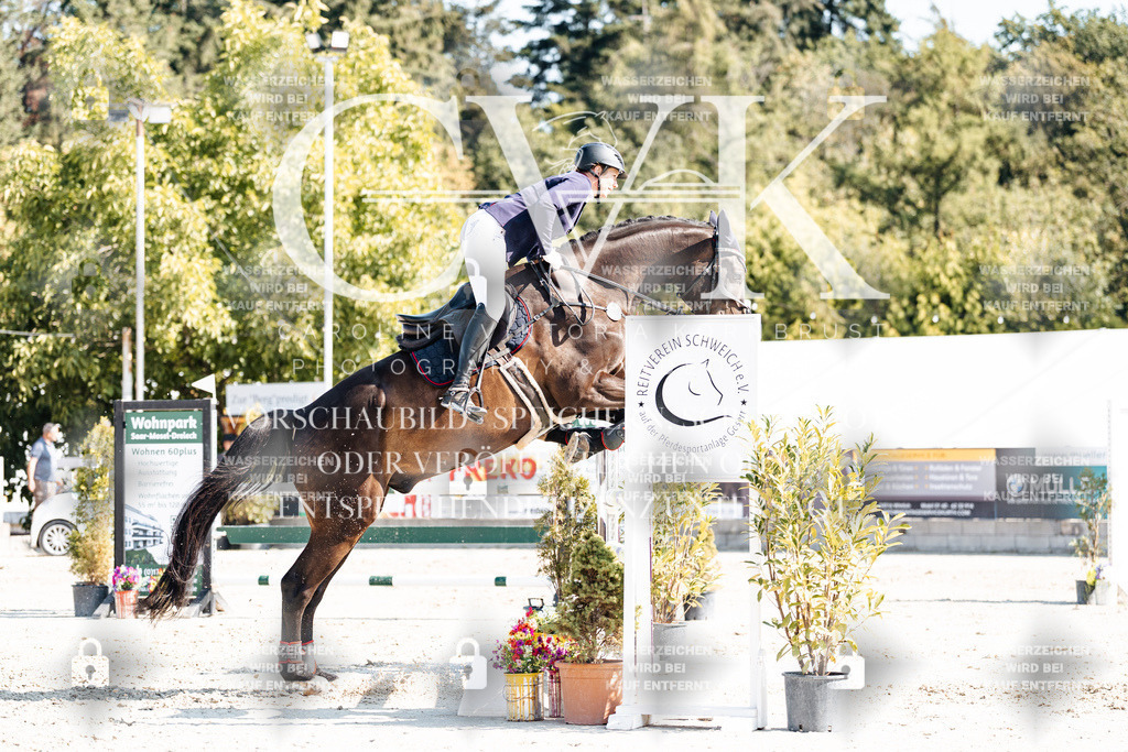 CK902413 | Turnierfotografie Pferdefotografie Trier Rheinland-Pfalz Pferdesport Reitsport Tierfotografie Sportfotografie Pferdevideo Pferdevideografie Equestrianvideography equestrianphotography  - Realisiert mit Pictrs.com