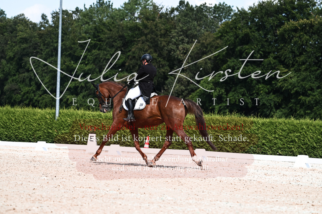DSC_3249 | Pferde- und Turnierfotografie in Westsachsen. Pferdeportraits, Auftragszeichnungen und intuitive Kunst.