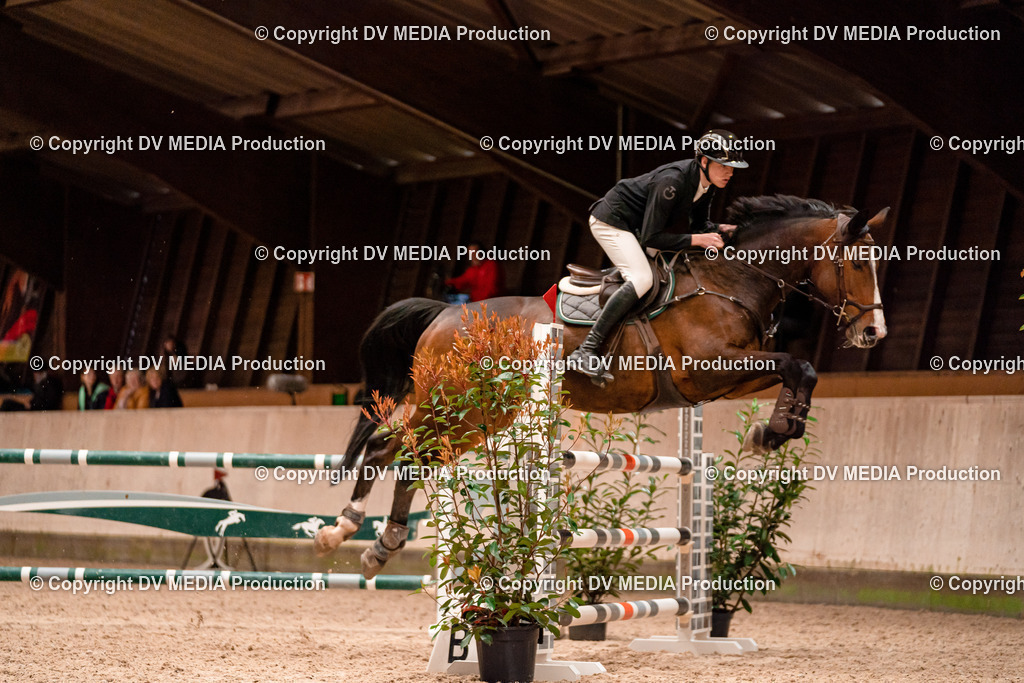 Springen Tag 1-504 | dv-media-shop - Realisiert mit Pictrs.com