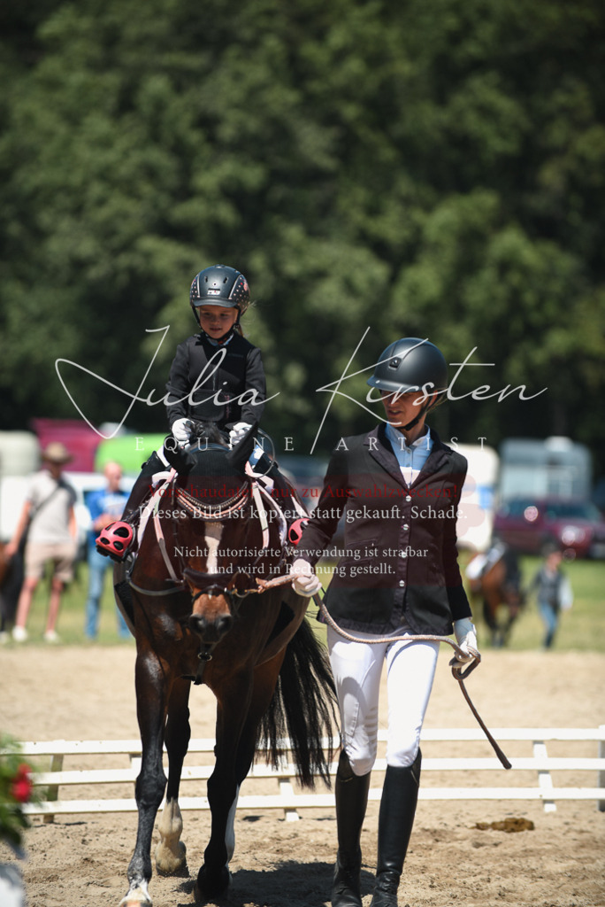 DSC_2035 | Pferde- und Turnierfotografie in Westsachsen. Pferdeportraits, Auftragszeichnungen und intuitive Kunst.