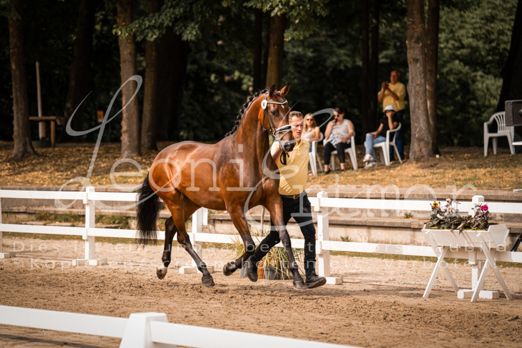 6.Fr00057 | Leoni Ertmer Photography - Realisiert mit Pictrs.com