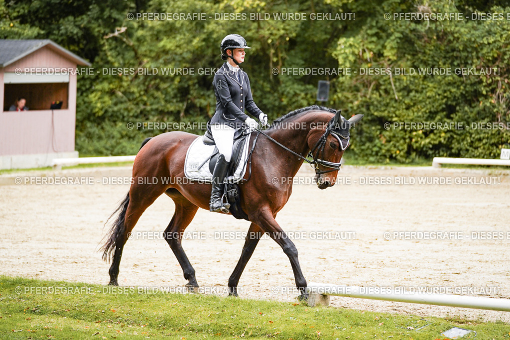 DSC08808 | Pferdegrafie