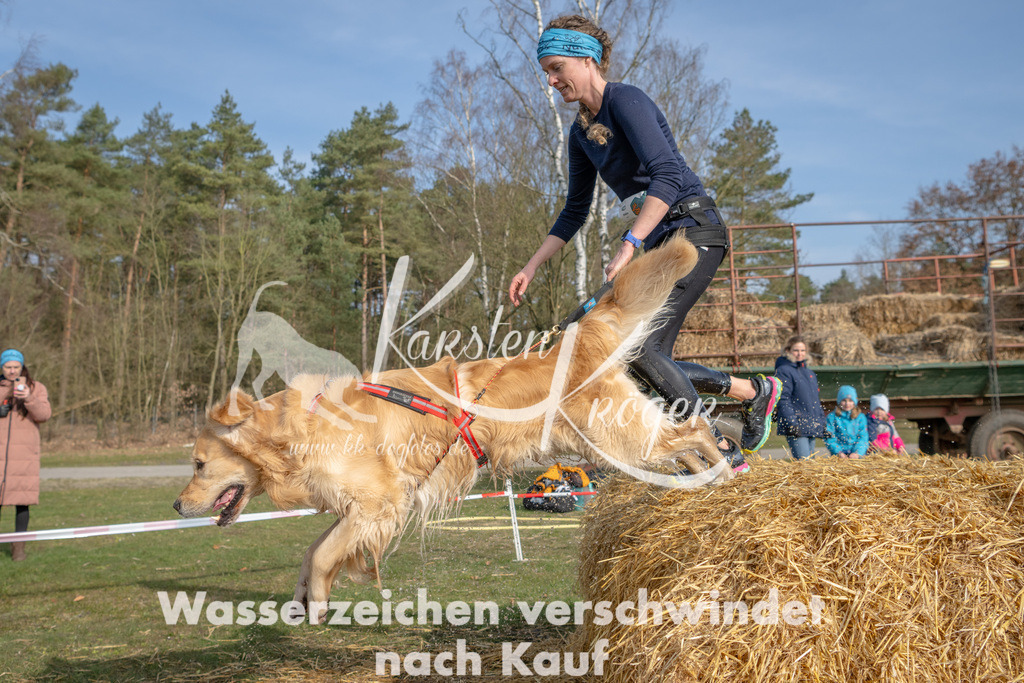 _ZZ92353 | kk-dogfotos