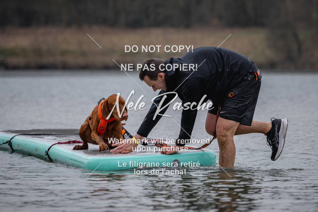 nelerasche_Hulsbeek_Sa1600-1700_23 | nelerasche