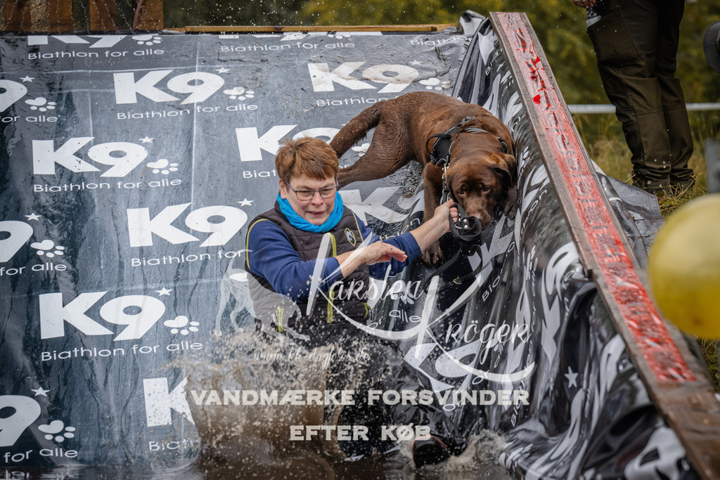 1211_ZZ94638 | kk-dogfotos
