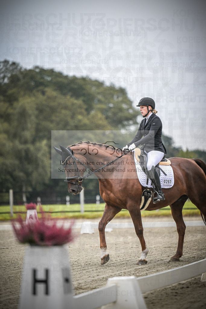 DOS_0077 | Entdecke hochwertige Reitturnierfotos von Foto Oger. Professionell, emotional und authentisch – jetzt Lieblingsmomente im Shop bestellen.Deutschlandweite Turnierfotografie. - Realisiert mit Pictrs.com