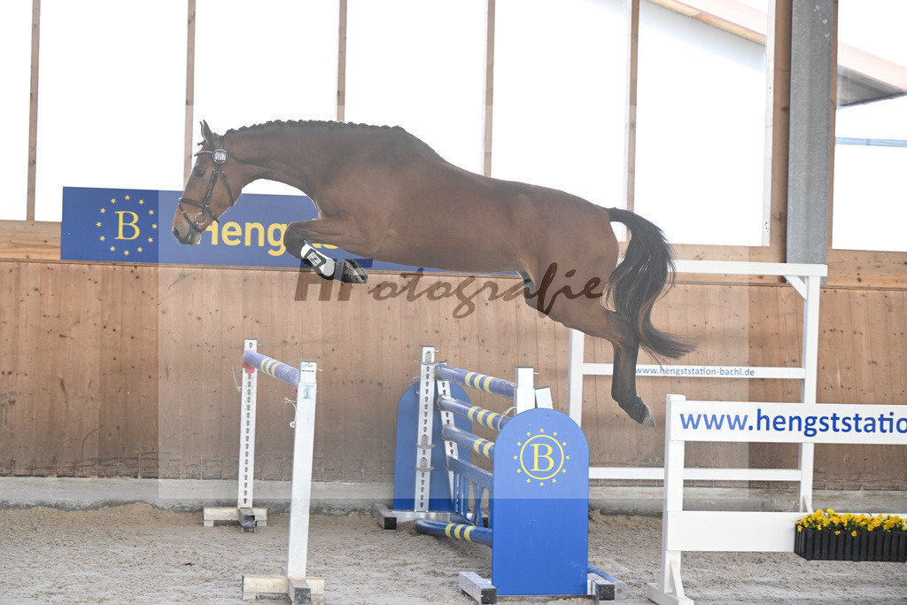 Kat-Nr. 27 Dakota H v. Vingino_Hoffmeister_14260865 | hf-fotografie - Realizzato con Pictrs.com