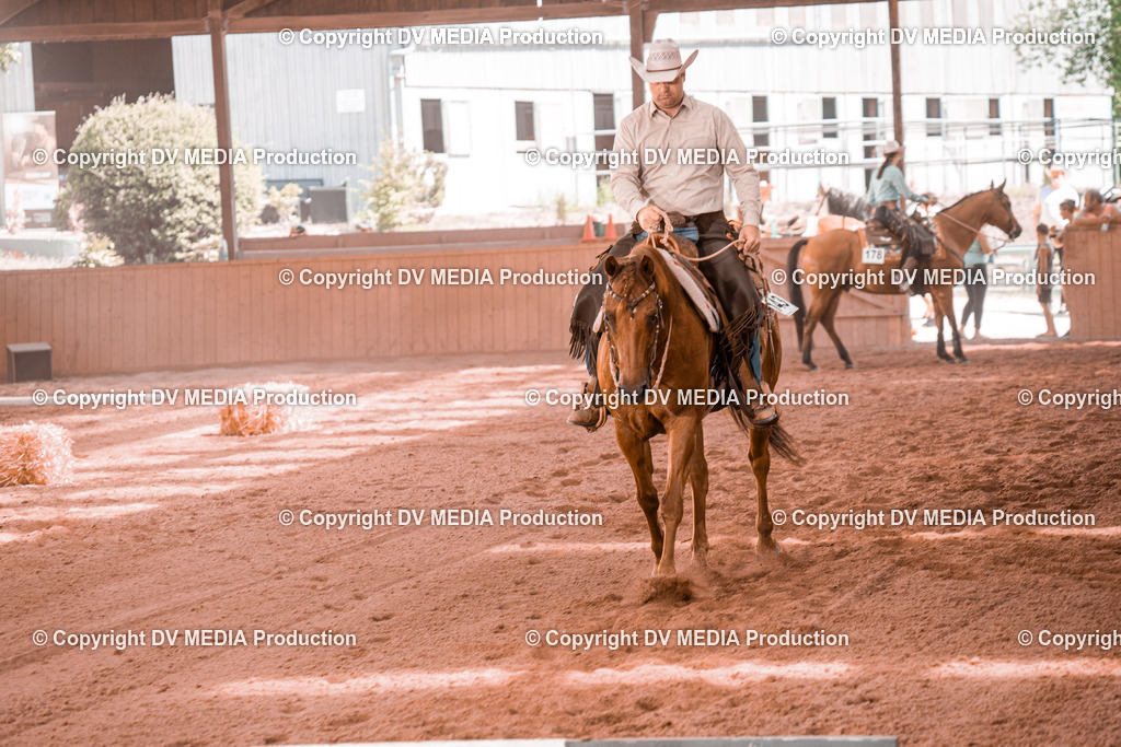 NE300339 | dv-media-shop - Realisiert mit Pictrs.com