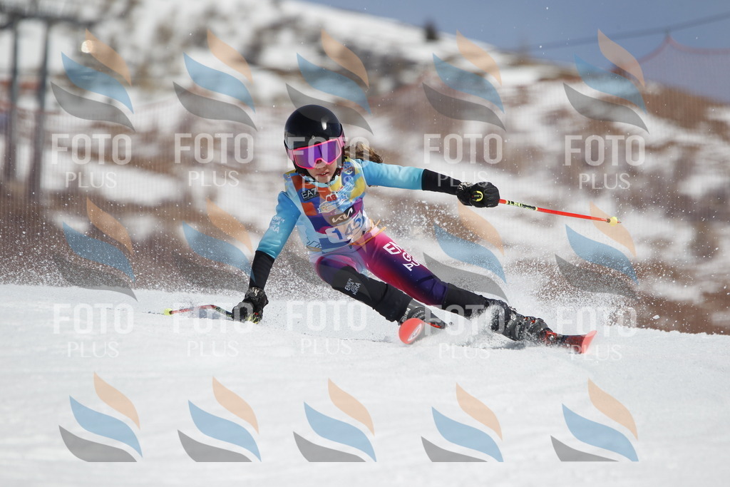 _U3G1123 | holidayphoto