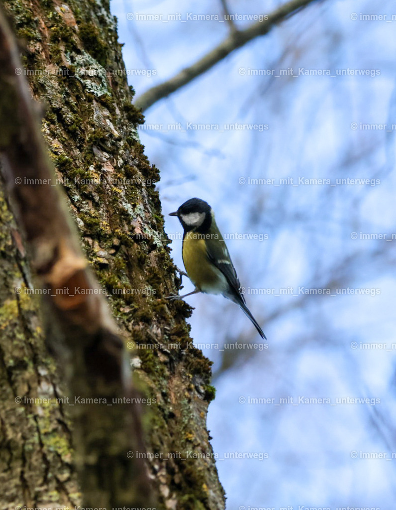 20240123123443_9I4A9069 | immer_mit_kamera_unterwegs