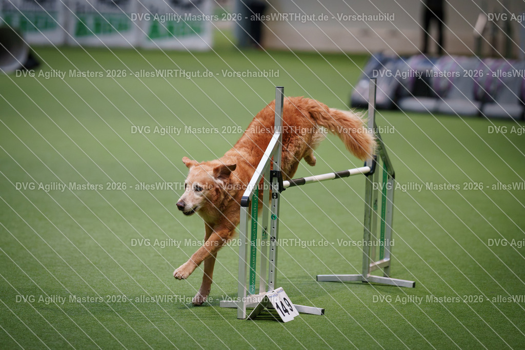 allesWIRTHgut_Tierfotografie-DVG_Agility_Masters_2026-08_12-7R509757 | Professionelle Tierfotografie in Mönchengladbach von Daniel Wirth (allesWIRTHgut). Liebevolle & natürliche Bilder von Hunden & Katzen für unvergessliche Erinnerungen.