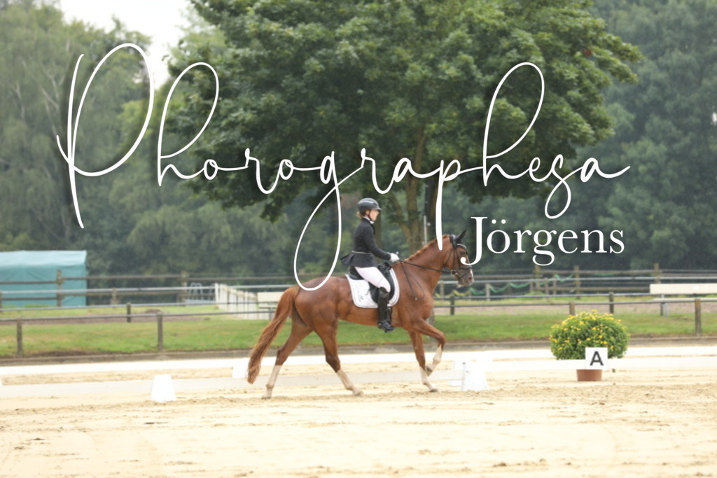 IMG_4953 | photographesa-joergens - Realisiert mit Pictrs.com