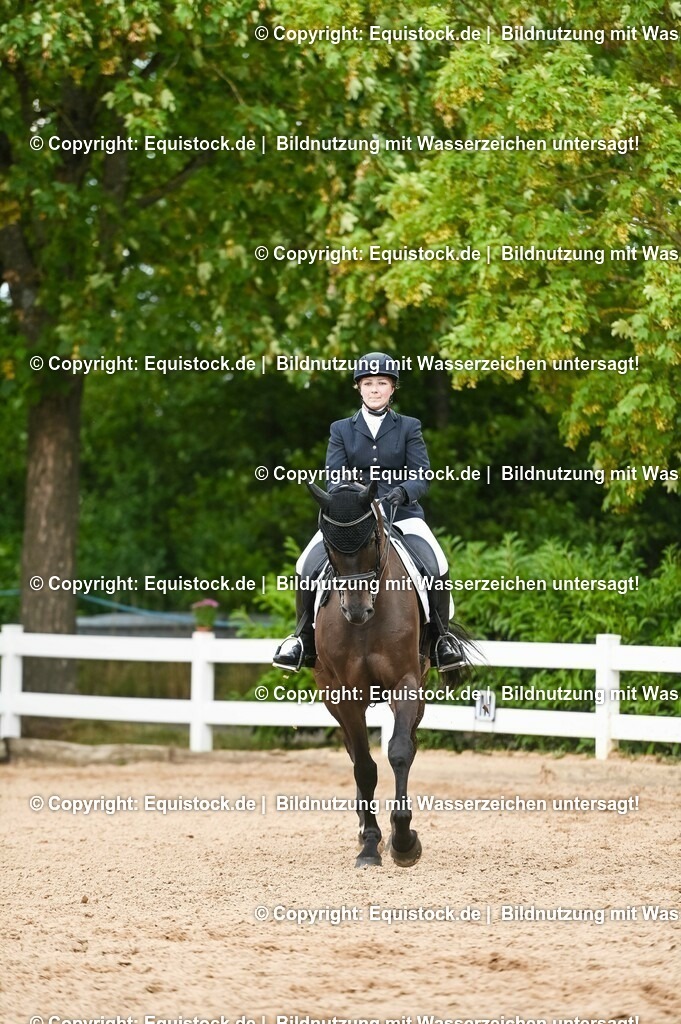 20230716_01_Dressurprüfung Kl.M_0405 | equistock