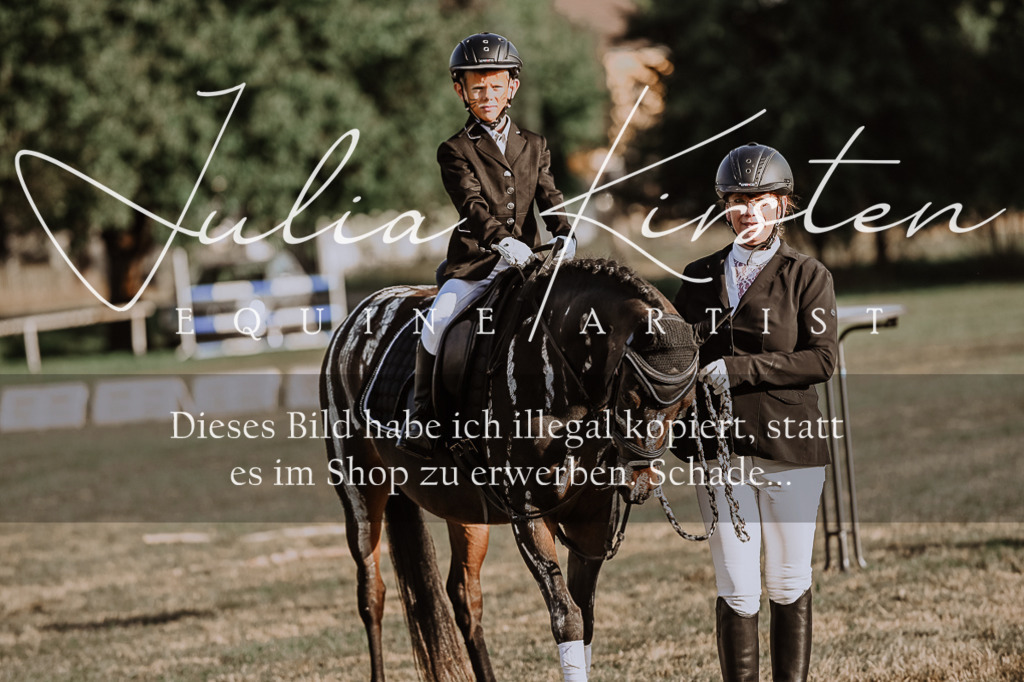 DSC_0225 | Pferde- und Turnierfotografie in Westsachsen. Pferdeportraits, Auftragszeichnungen und intuitive Kunst.