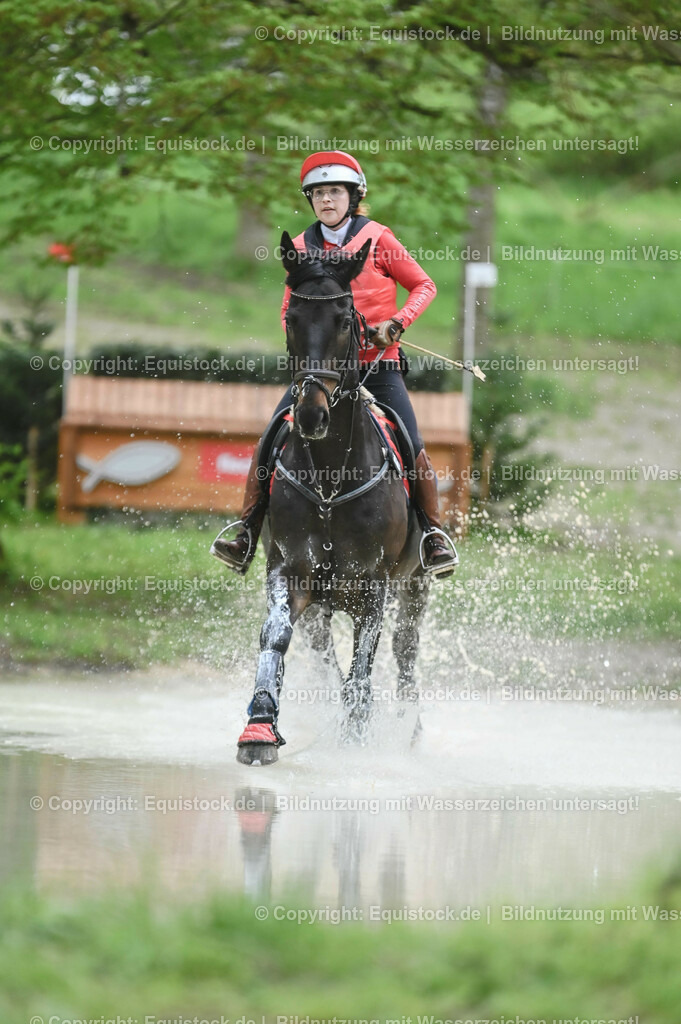 20230513_CCI2_Section1_0028 | equistock
