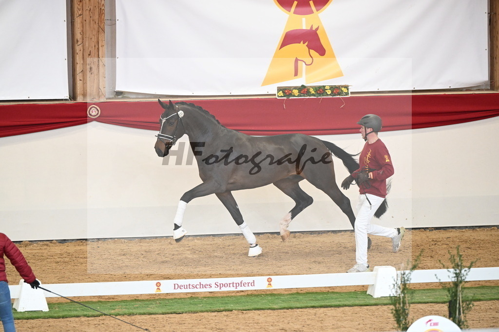 Kat.-Nr. 63 v. Foundation_Schafhof _ Jäckel_2250441 | hf-fotografie - Realisiert mit Pictrs.com