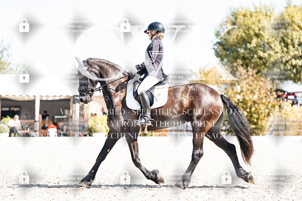 CK904101 | Turnierfotografie Pferdefotografie Trier Rheinland-Pfalz Pferdesport Reitsport Tierfotografie Sportfotografie Pferdevideo Pferdevideografie Equestrianvideography equestrianphotography  - Realisiert mit Pictrs.com