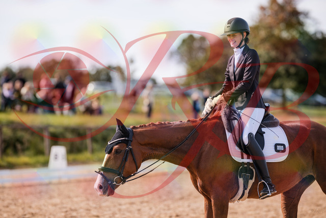 2026_10_03_Siefer-Hof_133324_Z81_92261367 | Professionelle Reitsport-, Turnier- und Eventfotografie von Robert Broda. Galerien mit ausgewählten und bearbeiteten Bildern direkt online ansehen und bestellen.