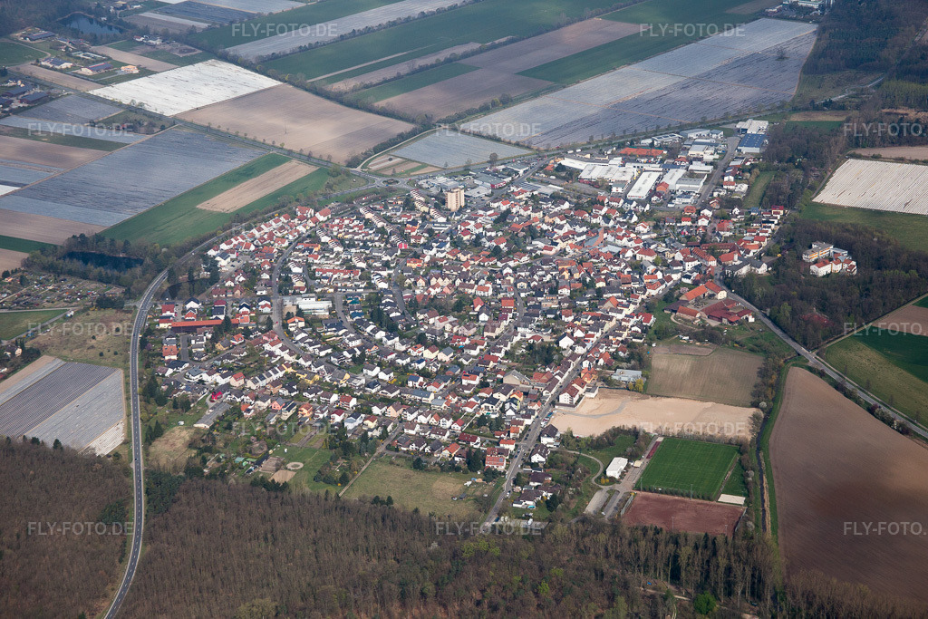 Luftbild: Ortsansicht der Hufeisenförmig angelegten Straßen und Häuser der Wohngebiete im Ortsteil Hüttenfeld in Lampertheim im Bundesland Hessen in Deutschland. Foto: IMG_077037.jpg vom 12.04.2015 durch Werner Riehm/FLY-FOTO.de