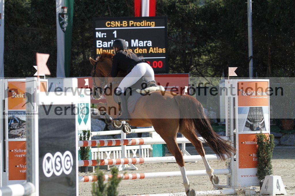 _MG_6570 | equestrian-live-com