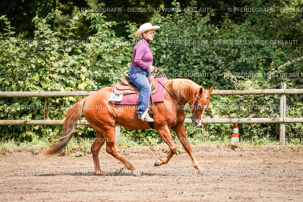 DSC07096 | Pferdegrafie