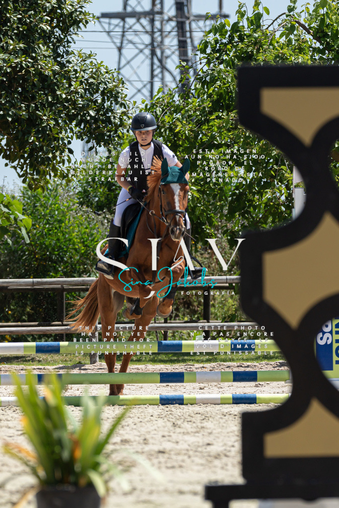 IMG_0218 | s-jay-photography - Realisiert mit Pictrs.com