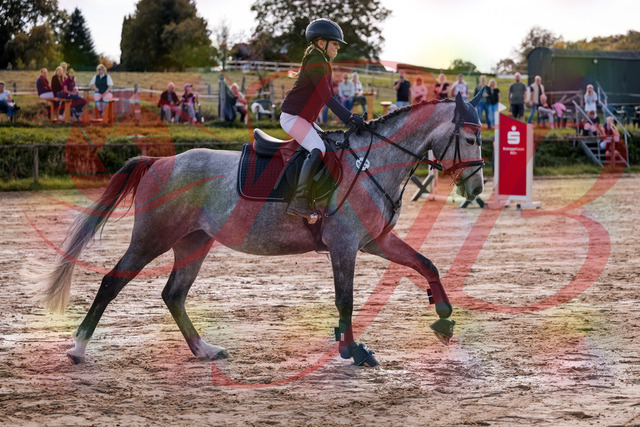 2026_10_03_Siefer-Hof_145055_Z81_29355012 | Professionelle Reitsport-, Turnier- und Eventfotografie von Robert Broda. Galerien mit ausgewählten und bearbeiteten Bildern direkt online ansehen und bestellen.