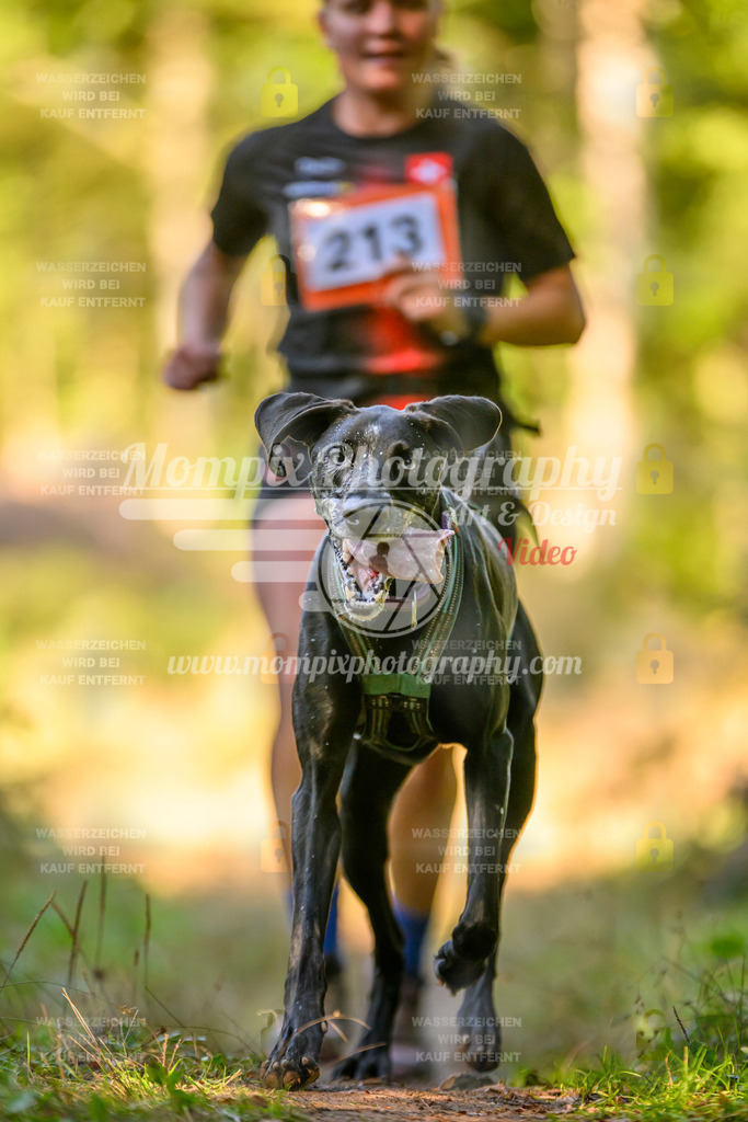 MompixPhotography_Yens2025_B3-129 | PayLife