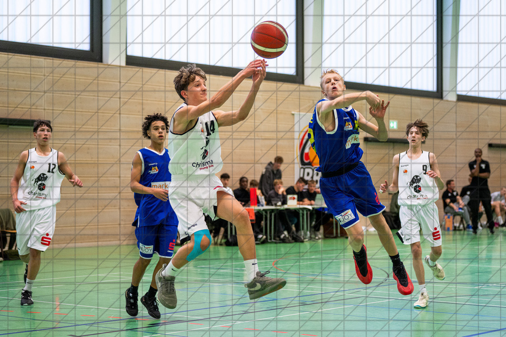 JBBL 24/25 | 13.10.2024 | Charisma Young Bulls vs. Phoenix Hagen | JBBL 24/25 | 13.10.2024 | Charisma Young Bulls vs. Phoenix Hagen - - - - - CREDIT, www.bullenfotos.de, Martin König, Hörner Weg 40, D-49078 Osnabrück, +4917663732967, Nutzung und Weitergabe nur zu den vereinbarten Zwecken. Presseanfragen an Urheber. Alle Rechte beim Urheber. - - - - - - Realisiert mit Pictrs.com