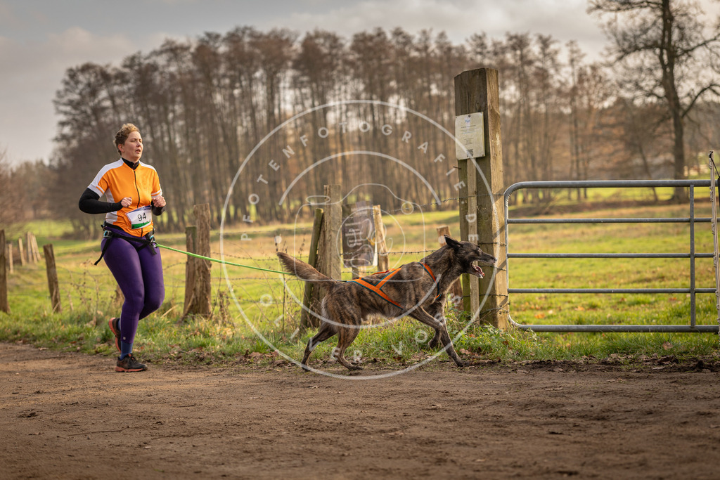 Pfotenfotografie_DV3A4929 | Hundefotografie, Tierfotograf, Pfotenfotografie, Fotoshooting Hund, Hunde Portrait, Hundesport, Hundeportraits, Heideshooting, Hunde, Sportfotograf, Hundefotograf, Turnierhundsport, THS,  - Realisiert mit Pictrs.com