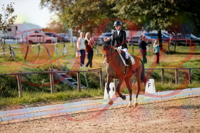 2026_10_03_Siefer-Hof_131712_Z63_78850141 | Professionelle Reitsport-, Turnier- und Eventfotografie von Robert Broda. Galerien mit ausgewählten und bearbeiteten Bildern direkt online ansehen und bestellen.