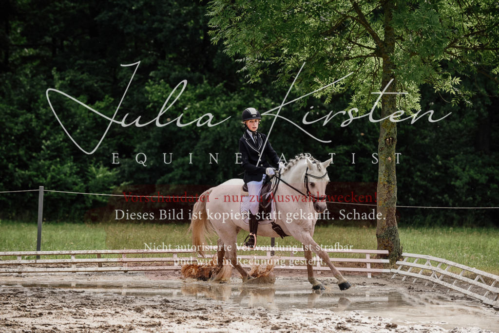 DSC_9477 | Pferde- und Turnierfotografie in Westsachsen. Pferdeportraits, Auftragszeichnungen und intuitive Kunst.