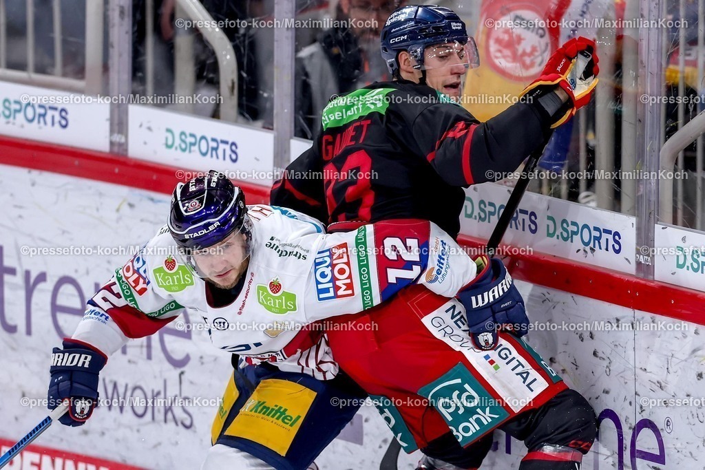 DEG12012501039 | 12.01.2025, Eishockey, Penny DEL, Düsseldorfer EG - Eisbären Berlin, PSD-BANK Dome: Manuel Wiederer (Eisbären Berlin #21) im Zweikampf gegen Tyler Gaudet (DEG #93)