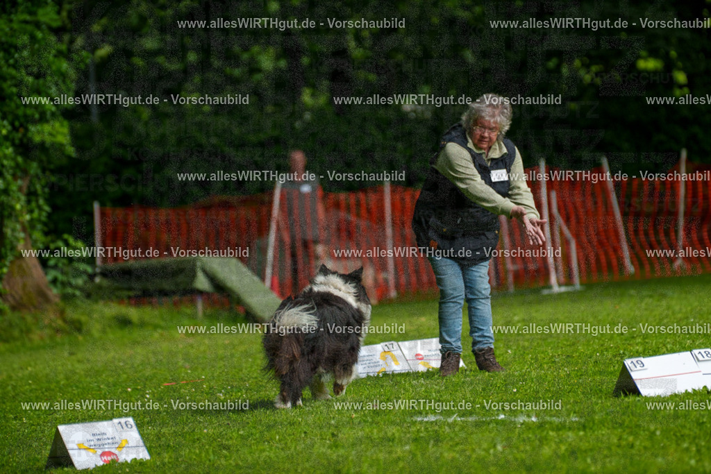 @allesWIRTHgut_Tierfotografie - www.allesWIRTHgut.de - 7R502749 | Professionelle Tierfotografie in Mönchengladbach von Daniel Wirth (allesWIRTHgut). Liebevolle & natürliche Bilder von Hunden & Katzen für unvergessliche Erinnerungen.